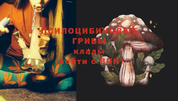 эйфоретик Абинск